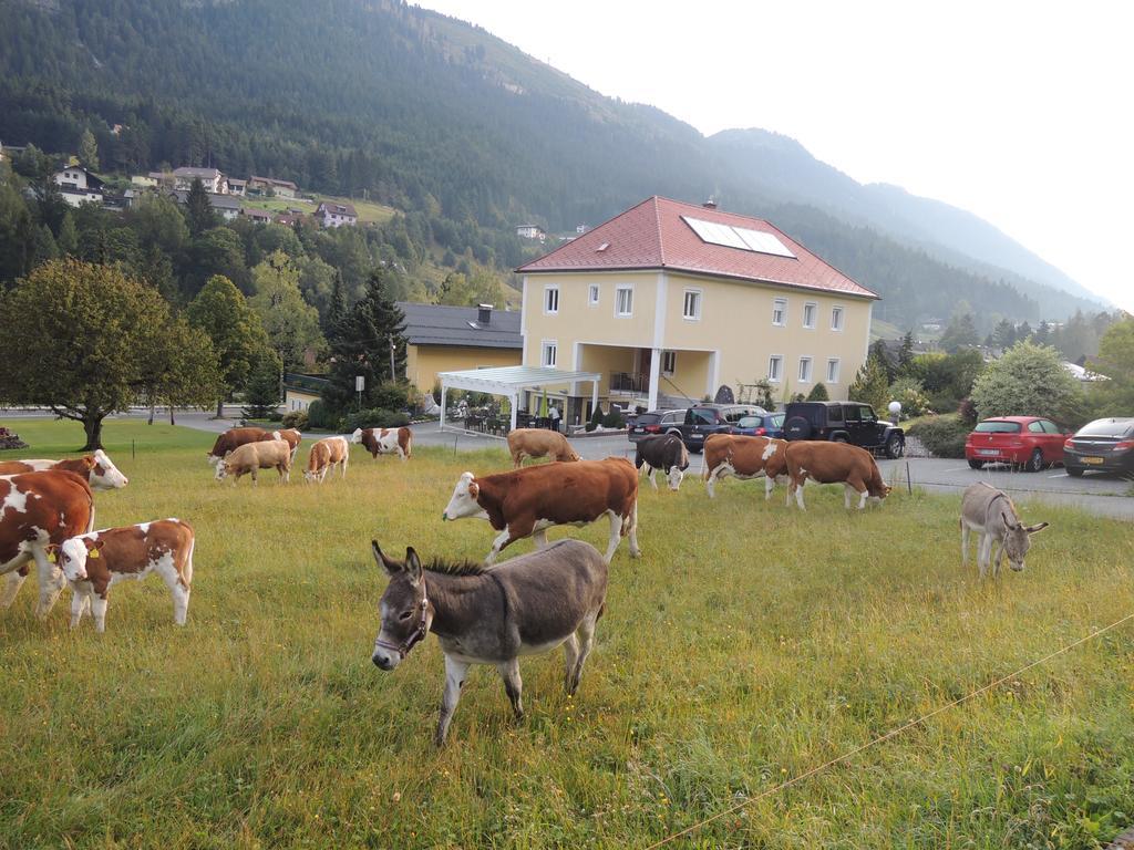 Gartenpension Lindenbauer Bad Bleiberg Zewnętrze zdjęcie